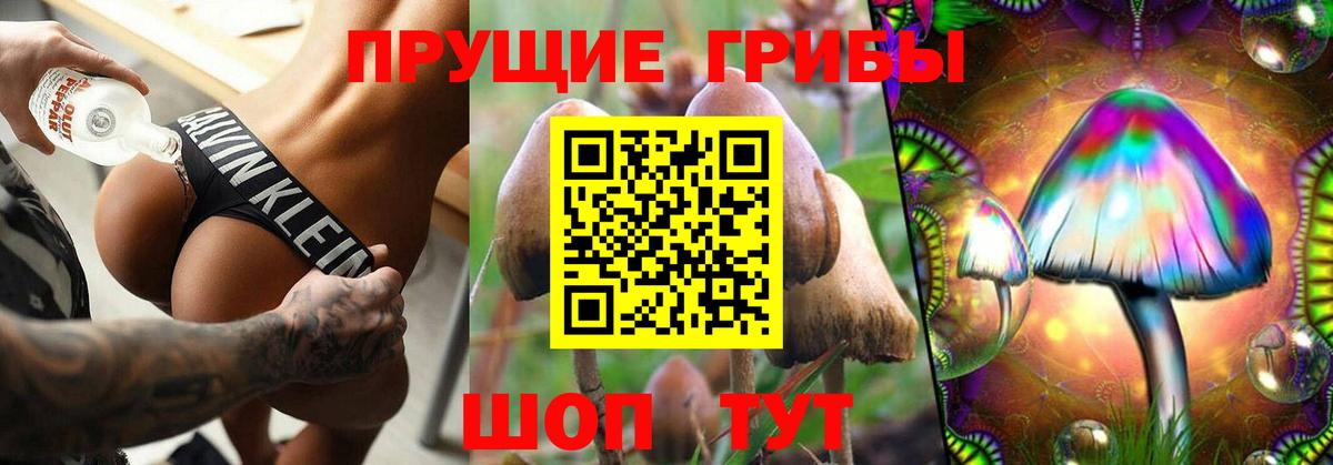 Галлюциногенные грибы Cubensis Заводоуковск